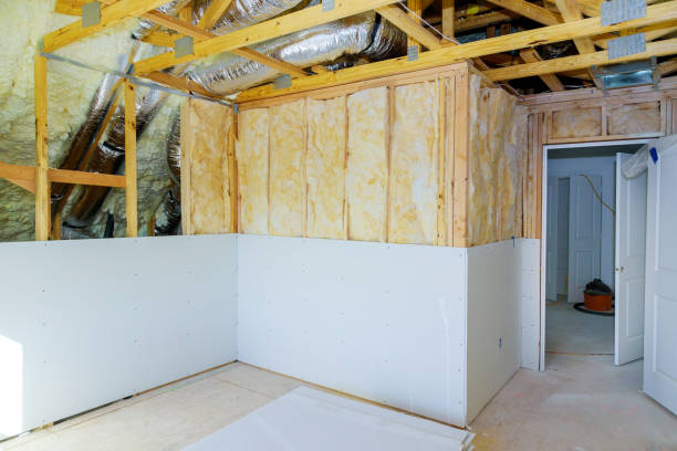 Best Blown-in Insulation  in Tomahawk, WI